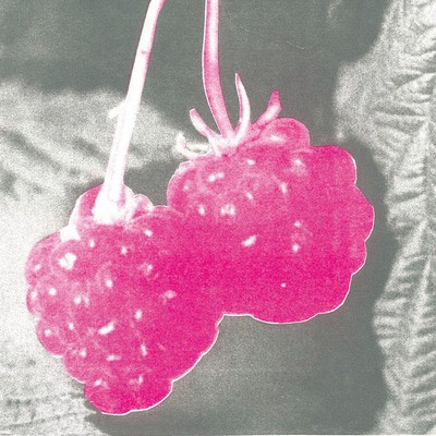 mus000523850.jpg