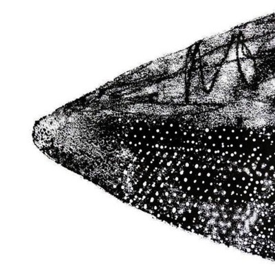 mus000544331.jpg