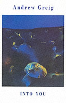 9781852245559.jpg