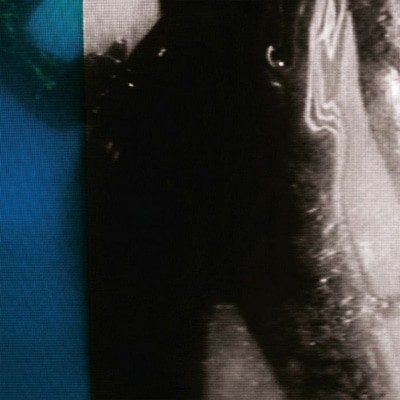 mus000551256.jpg