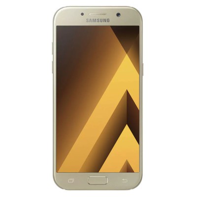 PI080000008910__Gold_Sand__1.jpg