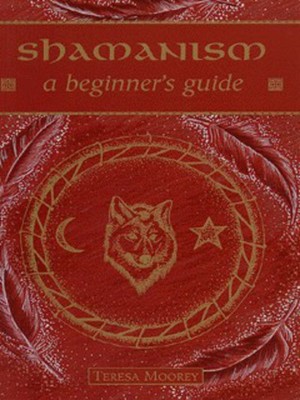 9780340680100.jpg