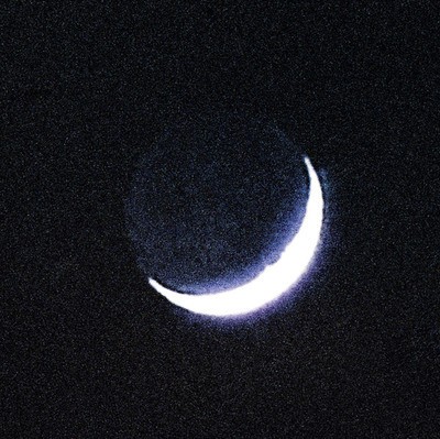 mus000557118.jpg
