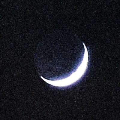 mus000557119.jpg