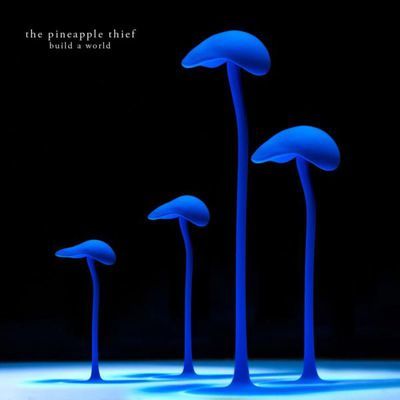 The Pineapple Thief - Build a World CD Album - Used