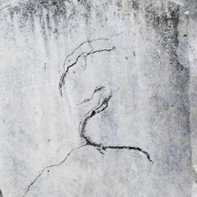 mus000340755.jpg