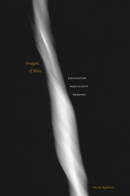 9780816648672.jpg