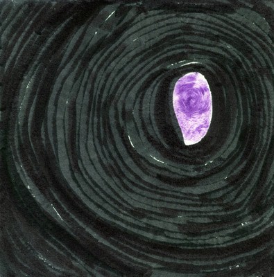 mus000492066.jpg