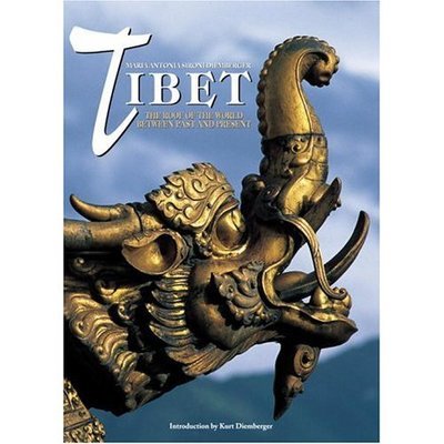 9788854400108.jpg