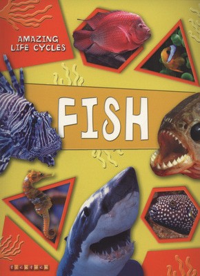 9781846960741.jpg