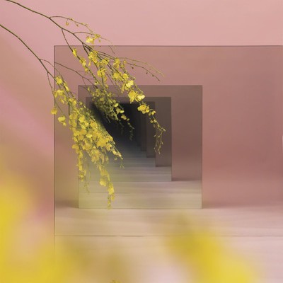 mus000556106.jpg