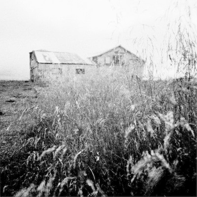 mus000570430.jpg