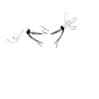 mus000575060.jpg