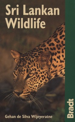 9781841621746.jpg