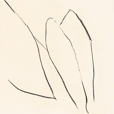 mus000576058.jpg