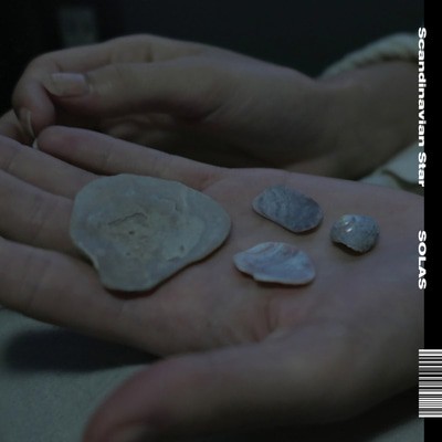 mus000579866.jpg