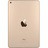 PI000000005725__Gold__1.jpg