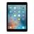iPad_5_Space_Grey.jpg