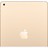 iPad_5_Gold_2.jpg