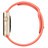 AI090000006144__Apricot_Sport_Band__1.jpg