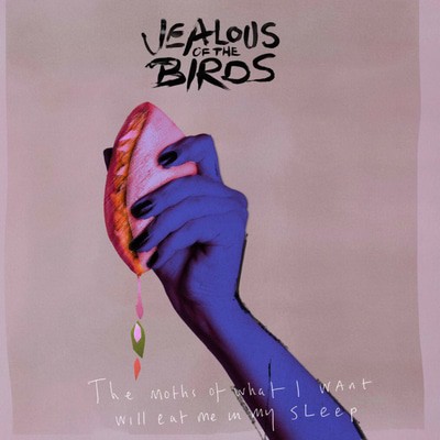 Jealous Of The Birds - The Moths of What I Want Will Eat Me in My Sleep CD Album - Used