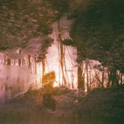 mus000510875.jpg