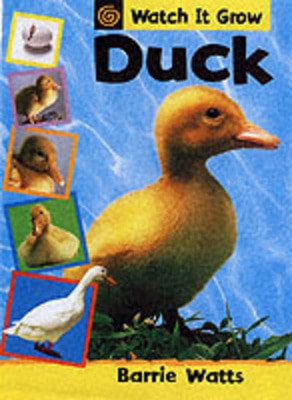 9780749644307.jpg
