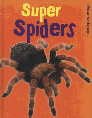 9781406260816.jpg