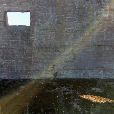 mus000580379.jpg