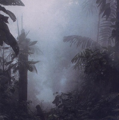 mus000159381.jpg
