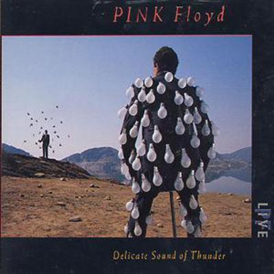 Pink Floyd - Delicate Sound of Thunder CD Album - Used