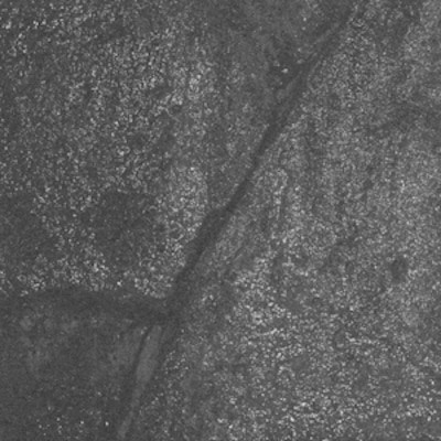 mus000364338.jpg