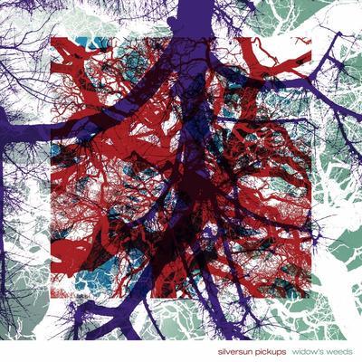 Silversun Pickups - Widow's Weeds CD Album - Used