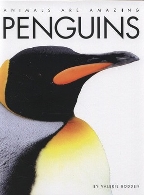 9781445110820.jpg