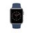 UI020000012678__Blue_Cobalt_Sport_Band__1.jpg