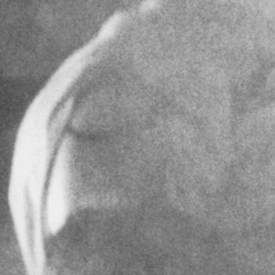 mus000342090.jpg