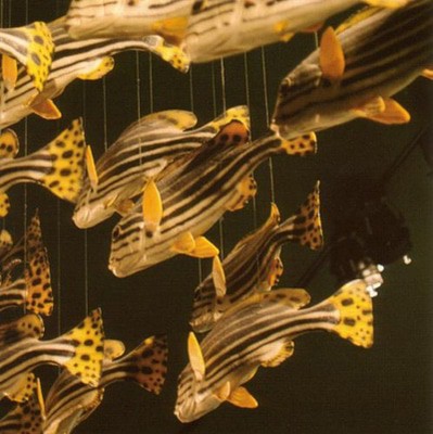 mus000428414.jpg