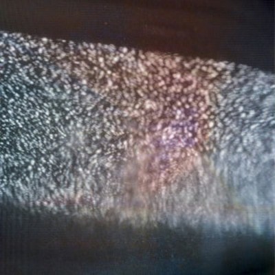 mus000338685.jpg