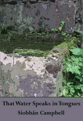 9781906285234.jpg