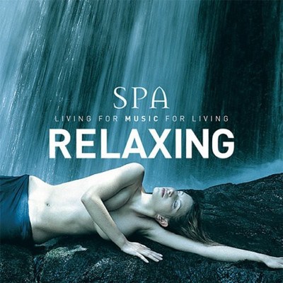 Various Artists - Global Journey Spa Series: Relaxing CD Album - Used