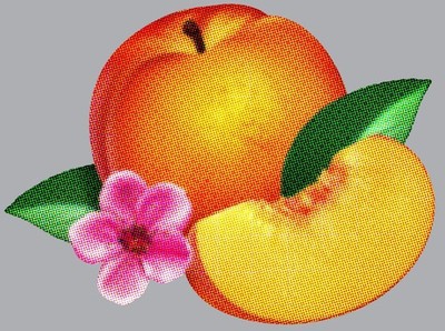 U0892038002855.jpg