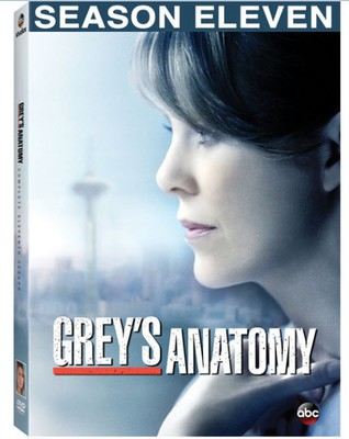 Grey's Anatomy: Complete Eleventh Season - DVD - Used