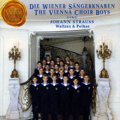 Strauss / Vienna Choir Boys - Strauss J: On the Beautiful Blue Danube Bitte Scho CD Album - Used