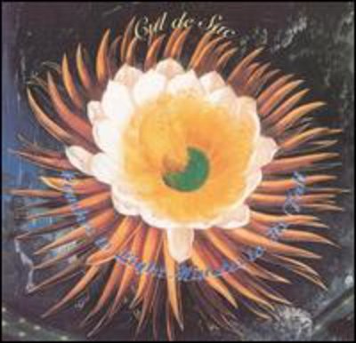 U0700435706422.jpg