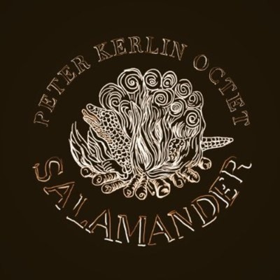 Peter Kerlin - Salamander CD Album - Used