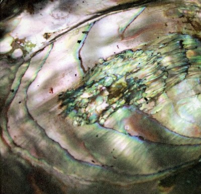 U0827590502123.jpg
