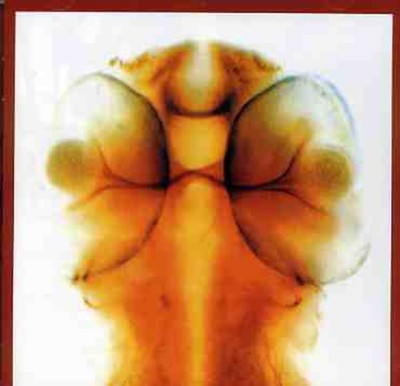 U0825947124424.jpg