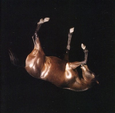 U5099996491324.jpg