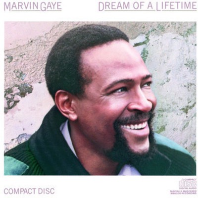 Marvin Gaye - Dream of a Lifetime CD Album - Used