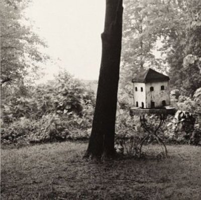 U0075597936629.jpg